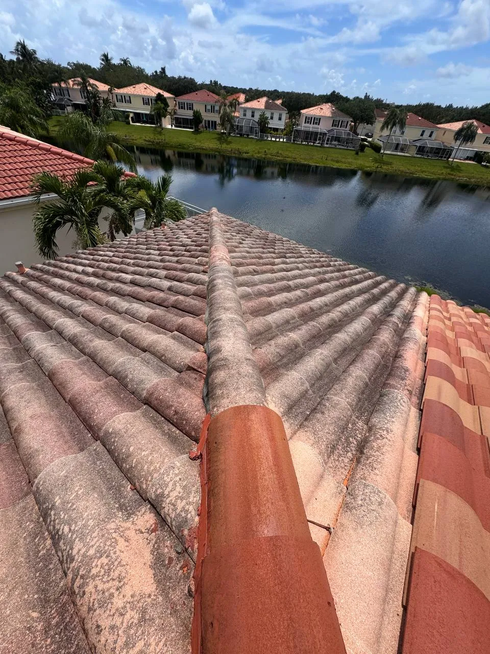 Barrel tile roof soft wash, before