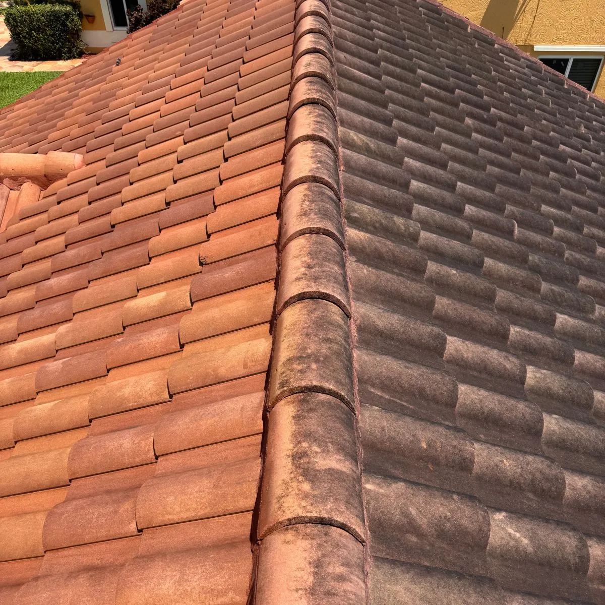 Roof soft wash, halfway through